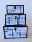 Blue Tie Dye Trunk With Rim
