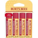 Burt's Bees Lip Balm Moisturizing Lip Care For All Day Hydration 100% Natural Pomegranate With Beeswax & Fruit Extracts 4 Pack