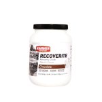 Hammer Recoverite 16 Serving - Chocolate