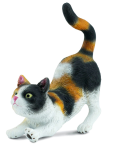 Stretching House Cat Small
