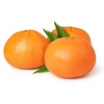 Naartjie Clementine Tree 125LT
