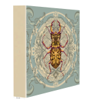 Arthropods Stag Beetle Art Print - 30CM X 30CM Stretched Canvas