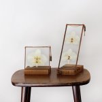 Velt Botanical Frame - Orchid - 9CM X 24CM Rectangle