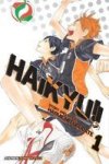 Haikyu Vol. 1 Paperback