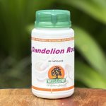 Dandelion Root 50 Capsules Willow