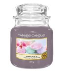 Candle Berry Mochi Medium Jar