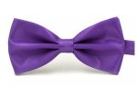 Purple Silk Bowtie