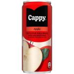 Fruit Juice 300ML Apple 300 Ml