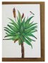 Aloe Greeting Card