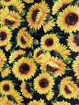 Printed Pu Vinyl