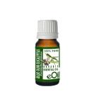 Eucalyptus Globulus Essential Oil Organic - 10 Ml