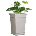 Hyena Plant Pot - Medium 570MM X 420MM Amper