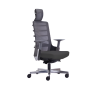 Ergonomic Office Chair With Adjustable Headrest And Lumbar Support