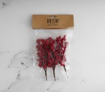 Berry Branch 3PC Red 15CM