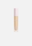 Power Plush Longwear Concealer - 2N