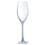 Champagne Glass C&s Grands Cepages Flute 240ML Set Of 6