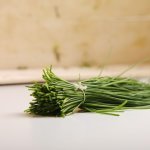 Chives Garlic 20G P