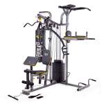 Everlast Grid Gym