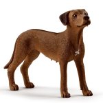 Farm World - Rhodesian Ridgeback