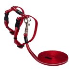 Rogz Catz 8mm Extra Small Alleycat Reflective Breakaway Safeloc Buckle Cat H-harness And Lead Combination - Red