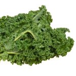 Kale Chou Moellier 200 Plug Tray