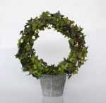 Ivy Wreath In Pot 46X38CM