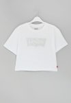 Levi's Lvg Meet & Greet Batwing Tee - White