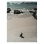 SOLO Art Print - A2