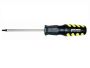 Tork Craft - Screwdriver Torx T30 6 X 100MM - 8 Pack