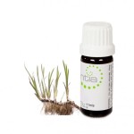 Escentia Calamus Pure Essential Oil - 11ML