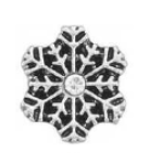 FLC8 - Snowflake