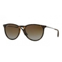 Ray Ban RB4171 Erika Polarized