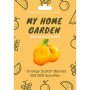 Orange Scotch Bonnet Chilli Pepper Seeds