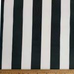 Bahamas Printed 5502 Blue&white Stripe