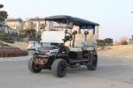 Dach Apollo Luxury Rugged Golf Cart Chameleon With White Seats For