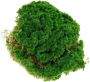 Artificial Moss Like Simulated Moss Turf For Bonsai Fish Tanks And Garden