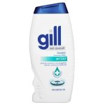 Gill Anti-dandruff Shampo Dry Scalp 200ML