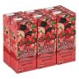 Liqui-fruit Juice Berry Blaze 250ML X 6