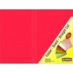 Straight Cut Folders Pink 100-PACK