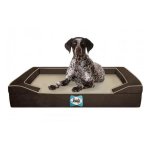 Sealy Lux Premium Orthopaedic Dog Bed - Medium Autumn Brown