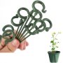 5PCS Potted Plant Support Rack/ Flower Vegetable Vine Climbing Bracket/ Balcony Creative Decorative Rack Plant Fixed Rod Fixed Gardening Flower Plant Branch Dry Fixed