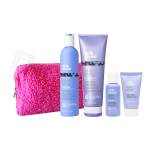 Silver Shine Holiday Gift Set
