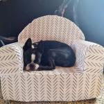 Delicious Monsters Toddler Chair 2.0 - Herringbone Baby