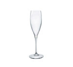 Bormioli Rocco Premium - Champagne 26CL H245MM W78MM 6 - BR1.70061