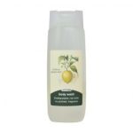 Body Wash Citrus & Ginger 400ML