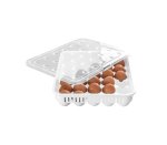 Egg Storage Box 30 Eggs
