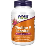 Now Choline & Inositol 100 Caps