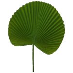 Giant Dark Green Fan Leaf 80CM