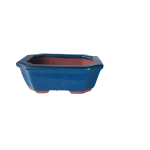 Assorted Glazed Bonsai Pots 7" - Blue Rectangular 17 X 13 X 6CM