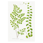 Gathering Green 19 Art Print